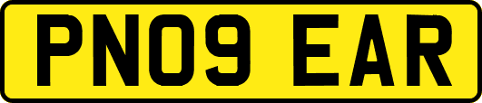 PN09EAR