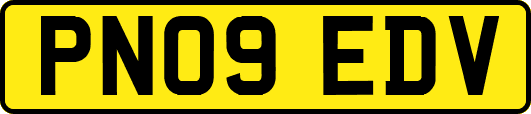 PN09EDV