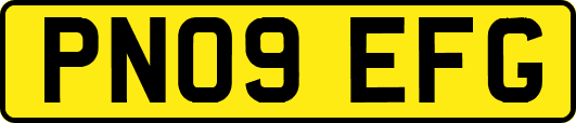 PN09EFG