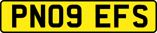 PN09EFS