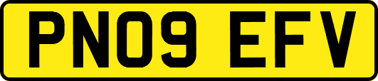 PN09EFV