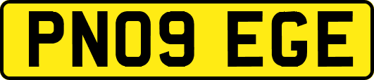 PN09EGE