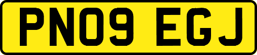 PN09EGJ
