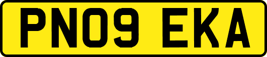 PN09EKA