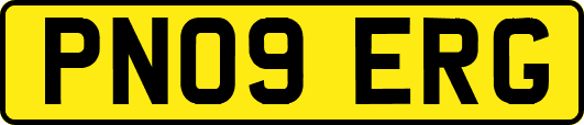 PN09ERG
