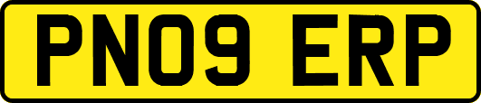 PN09ERP