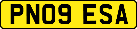 PN09ESA