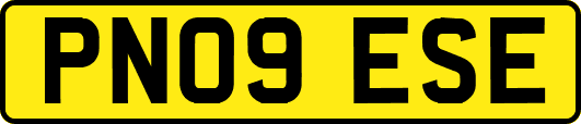 PN09ESE