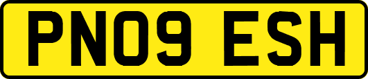PN09ESH