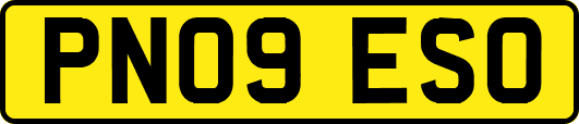 PN09ESO