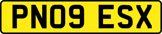 PN09ESX