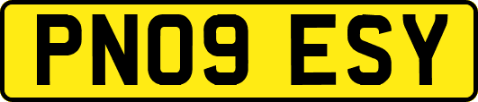 PN09ESY
