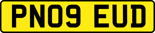 PN09EUD