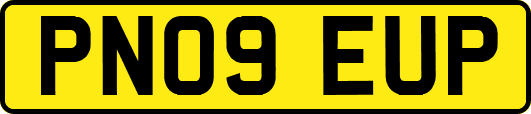 PN09EUP