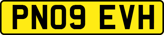 PN09EVH