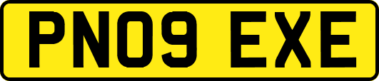 PN09EXE