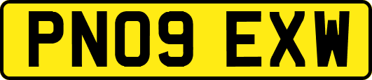 PN09EXW