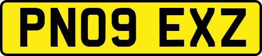 PN09EXZ