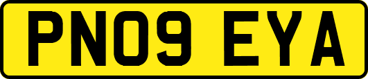 PN09EYA