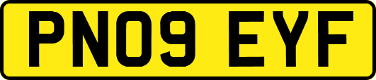 PN09EYF