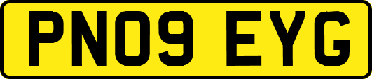 PN09EYG