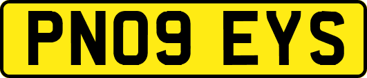 PN09EYS
