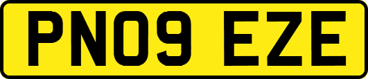 PN09EZE
