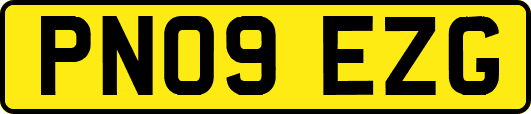 PN09EZG