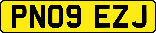 PN09EZJ