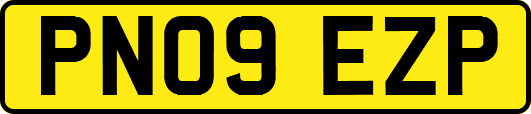 PN09EZP