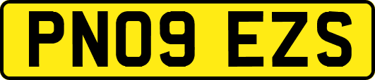 PN09EZS