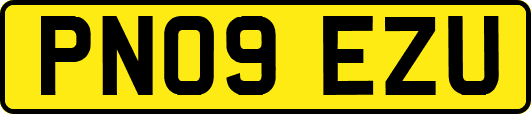 PN09EZU