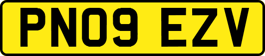 PN09EZV
