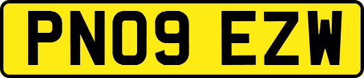 PN09EZW