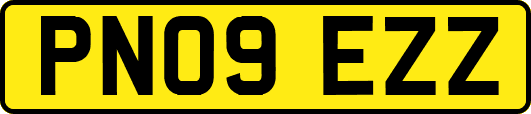 PN09EZZ