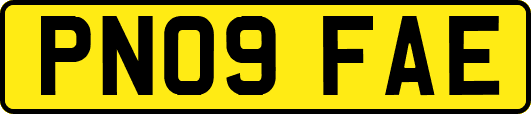 PN09FAE