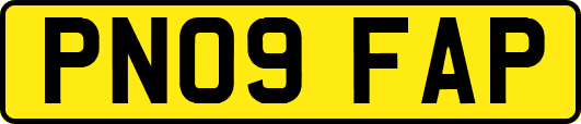 PN09FAP