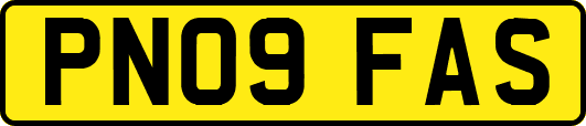 PN09FAS