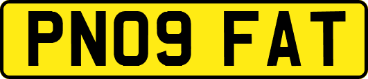 PN09FAT