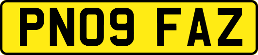 PN09FAZ