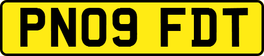 PN09FDT