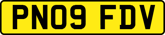 PN09FDV