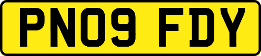 PN09FDY
