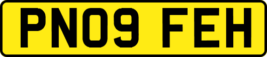 PN09FEH