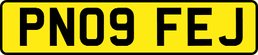 PN09FEJ