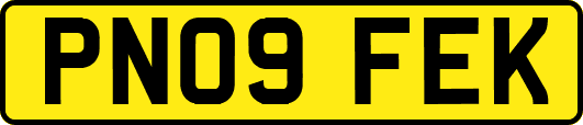 PN09FEK