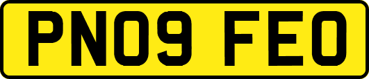 PN09FEO