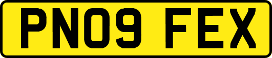 PN09FEX