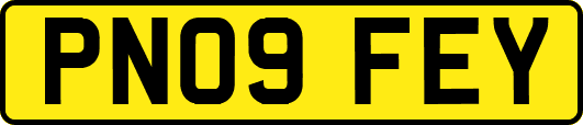 PN09FEY