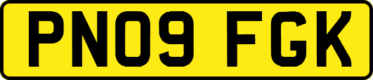 PN09FGK